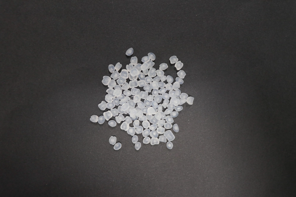 PP 519A